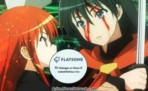 รีวิว Shakugan no